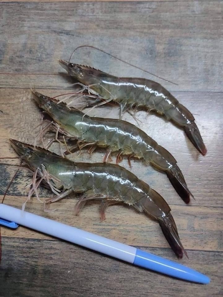 水產品